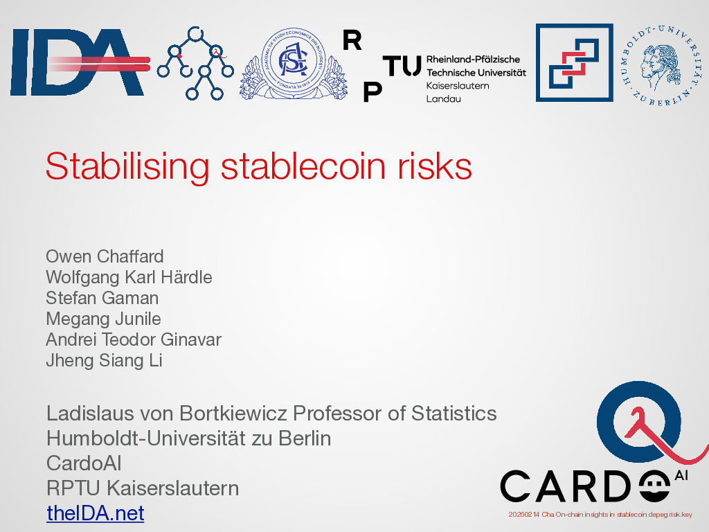 Preview for Stabilising Stablecoin Risks